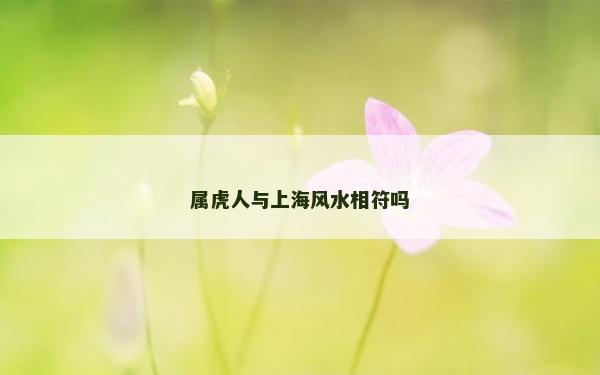 属虎人与上海风水相符吗