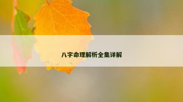 八字命理解析全集详解