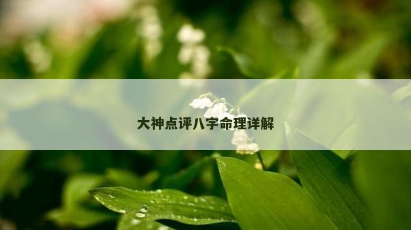 大神点评八字命理详解