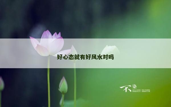 好心态就有好风水对吗