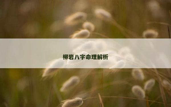 柳岩八字命理解析