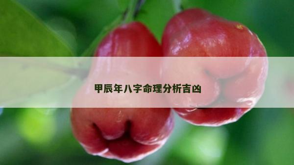 甲辰年八字命理分析吉凶