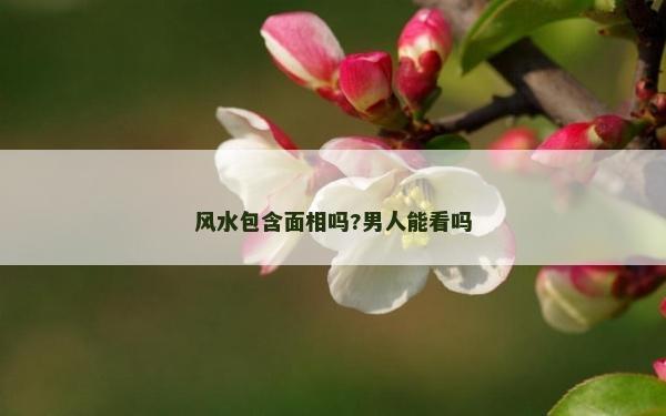 风水包含面相吗?男人能看吗