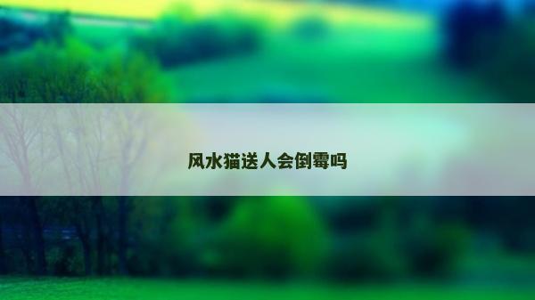 风水猫送人会倒霉吗