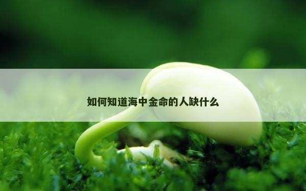 如何知道海中金命的人缺什么