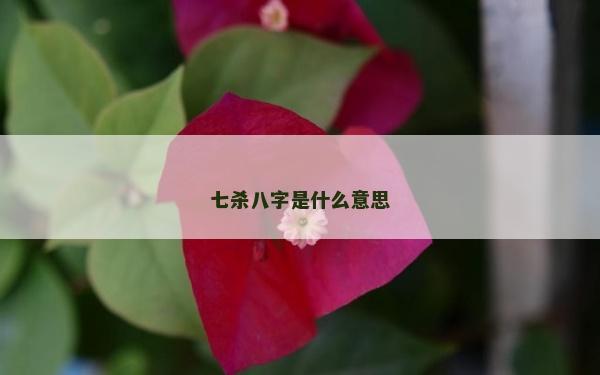 七杀八字是什么意思