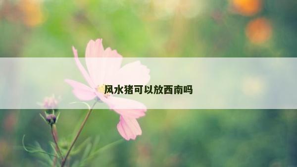 风水猪可以放西南吗