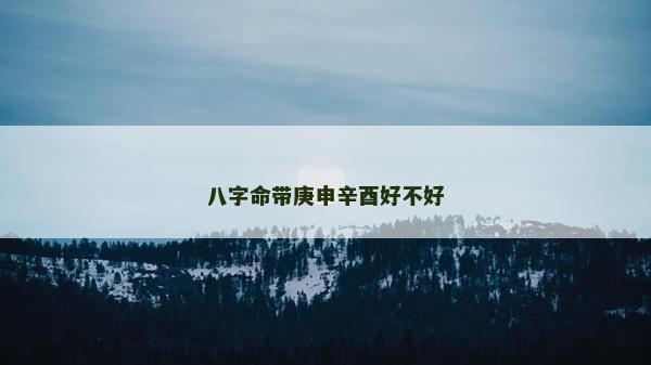 八字命带庚申辛酉好不好