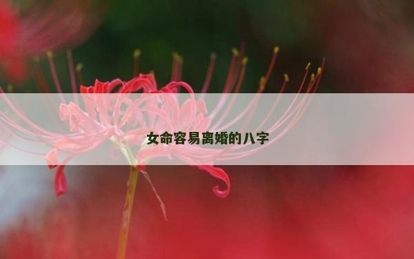 女命容易离婚的八字