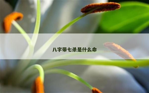 八字带七杀是什么命