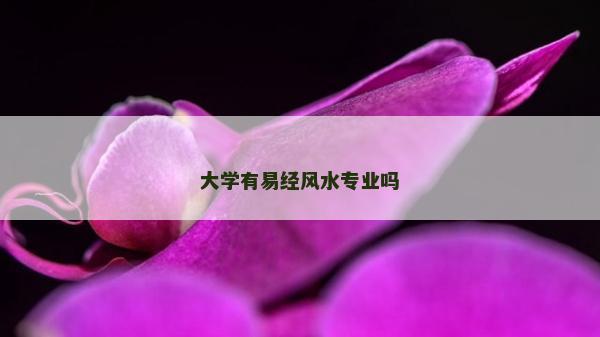 大学有易经风水专业吗
