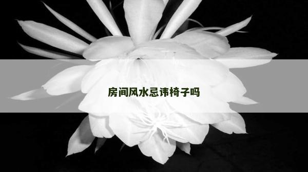 房间风水忌讳椅子吗