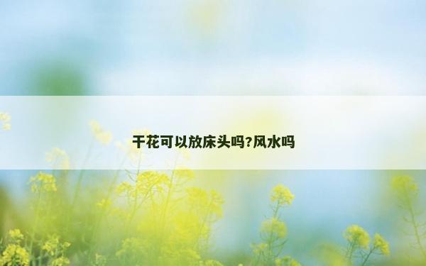 干花可以放床头吗?风水吗