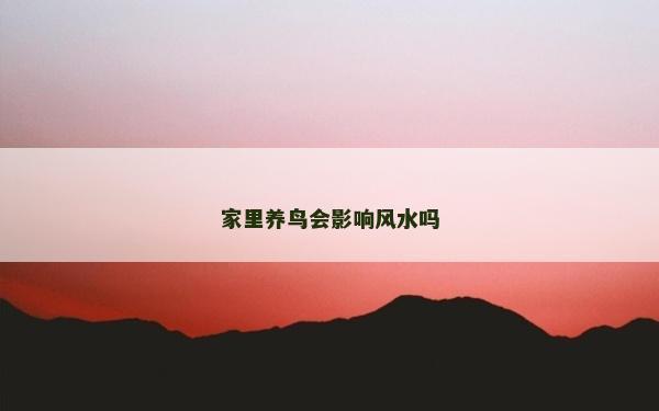 家里养鸟会影响风水吗