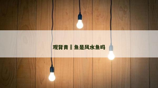 观背青鳉鱼是风水鱼吗