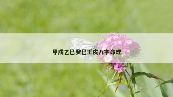 甲戌乙巳癸巳壬戌八字命理
