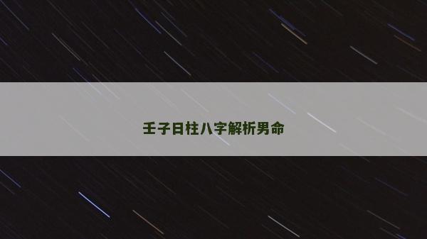 壬子日柱八字解析男命