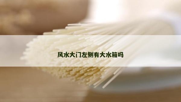 风水大门左侧有大水箱吗