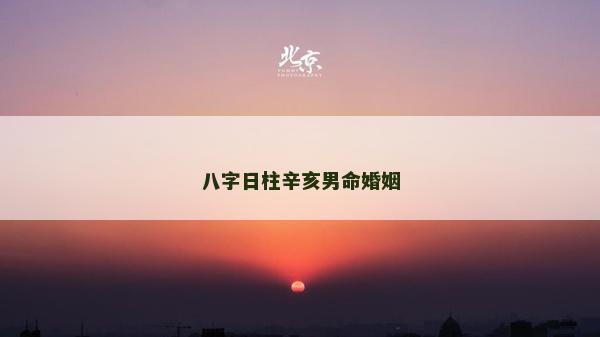 八字日柱辛亥男命婚姻