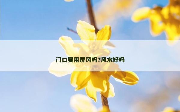 门口要用屏风吗?风水好吗