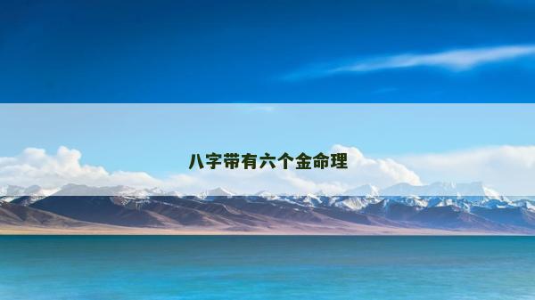 八字带有六个金命理