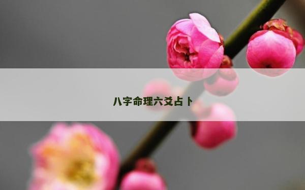 八字命理六爻占卜