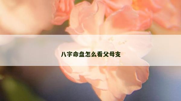 八字命盘怎么看父母支