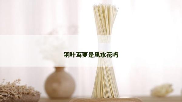 羽叶茑萝是风水花吗