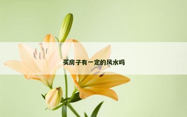 买房子有一定的风水吗