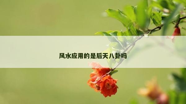 风水应用的是后天八卦吗