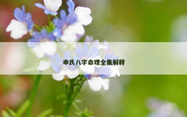 申氏八字命理全集解释