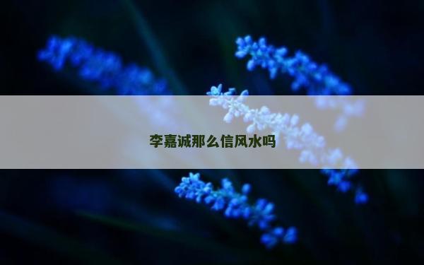 李嘉诚那么信风水吗