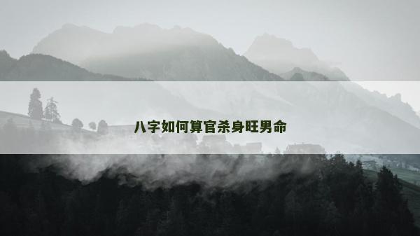 八字如何算官杀身旺男命