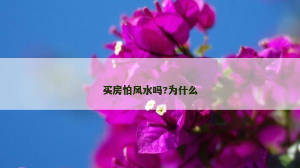 买房怕风水吗?为什么