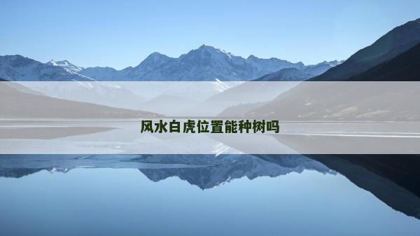 风水白虎位置能种树吗