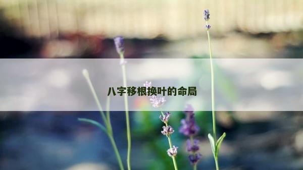 八字移根换叶的命局