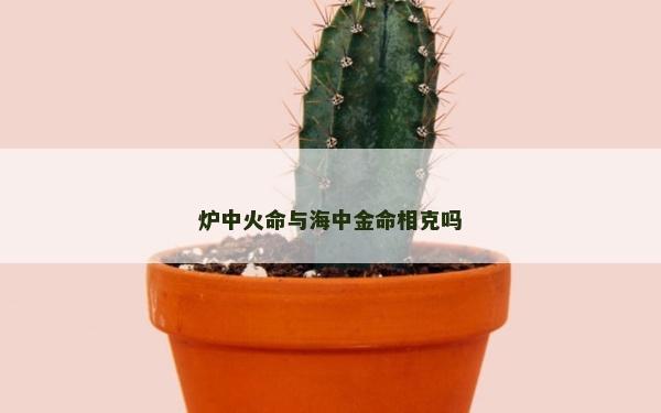 炉中火命与海中金命相克吗