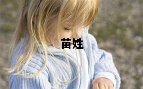 苗姓有创意的男孩名字,取什么名字好