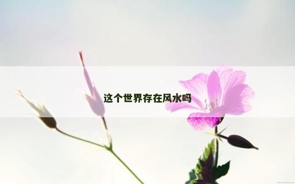 这个世界存在风水吗