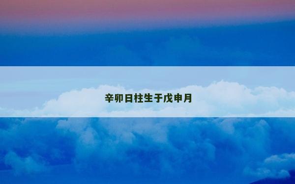 辛卯日柱生于戊申月