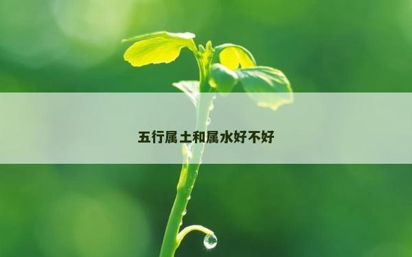 五行属土和属水好不好