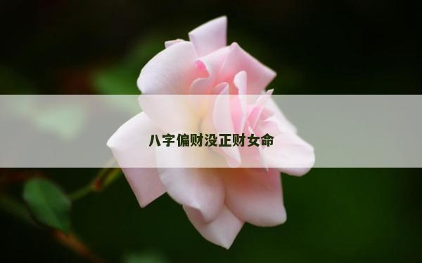 八字偏财没正财女命