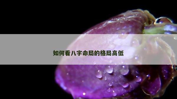 如何看八字命局的格局高低