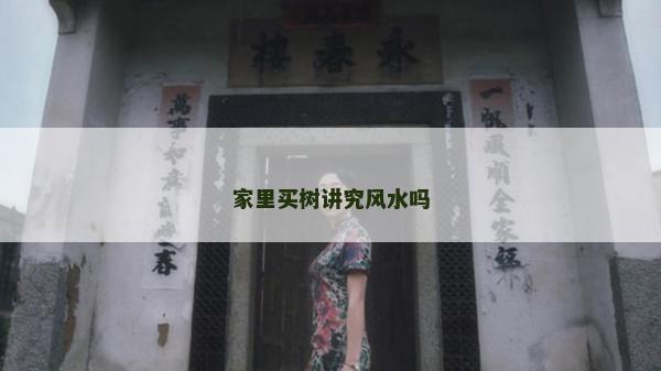 家里买树讲究风水吗