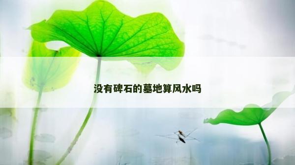 没有碑石的墓地算风水吗