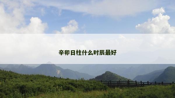 辛卯日柱什么时辰最好