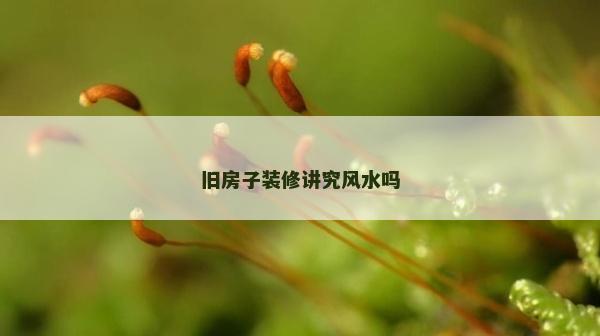旧房子装修讲究风水吗