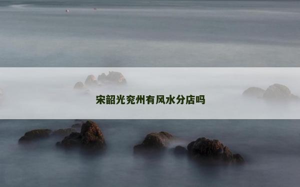 宋韶光兖州有风水分店吗