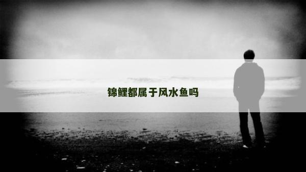 锦鲤都属于风水鱼吗