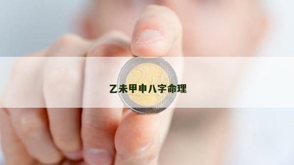 乙未甲申八字命理